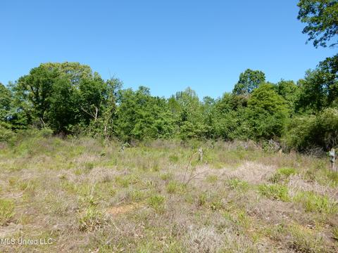 11 Sunset Dr, Coldwater, MS 38618 photo 4