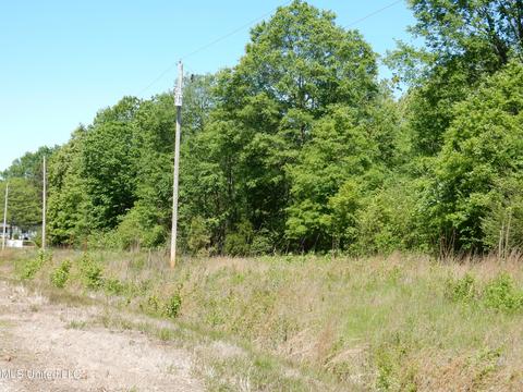 11 Sunset Dr, Coldwater, MS 38618 photo 10