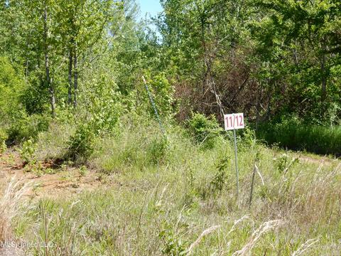11 Sunset Dr, Coldwater, MS 38618 photo 9