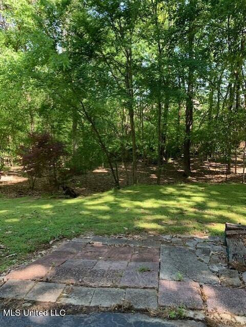 1900 Thousand Oaks Dr, Hernando, MS 38632 photo 22