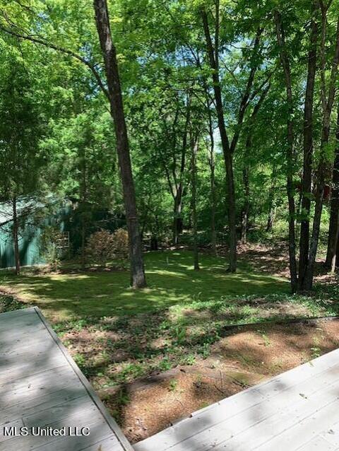 1900 Thousand Oaks Dr, Hernando, MS 38632 photo 24