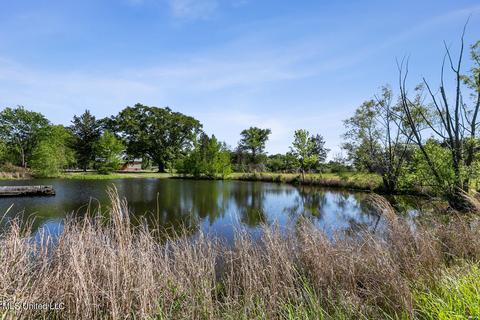 301 Smith Carr Rd, Canton, MS 39046 photo 11
