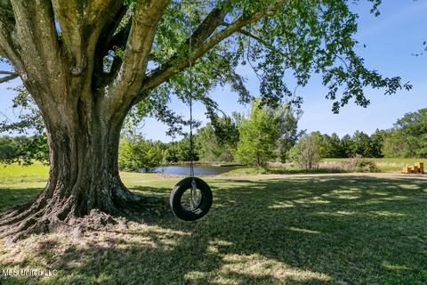 301 Smith Carr Rd, Canton, MS 39046 photo 35