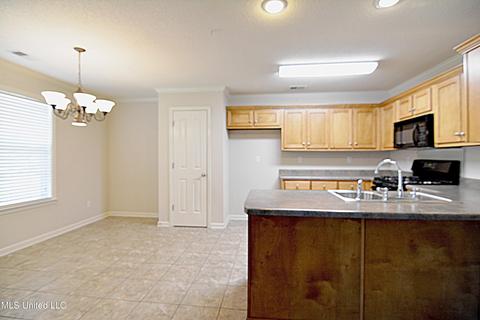 256 Desoto Ave, Hernando, MS 38632 photo 11