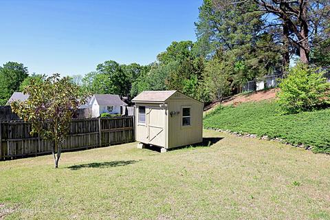 256 Desoto Ave, Hernando, MS 38632 photo 27
