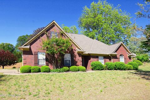 256 Desoto Ave, Hernando, MS 38632 photo 1