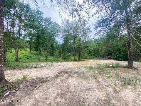 Hwy 26, Lucedale, MS 39452 photo 21
