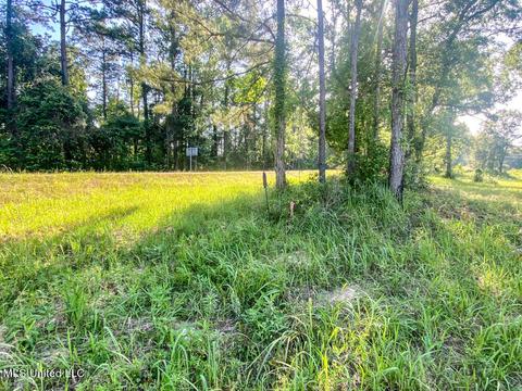 Hwy 26, Lucedale, MS 39452 photo 28