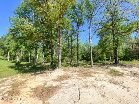 Hwy 26, Lucedale, MS 39452 photo 4