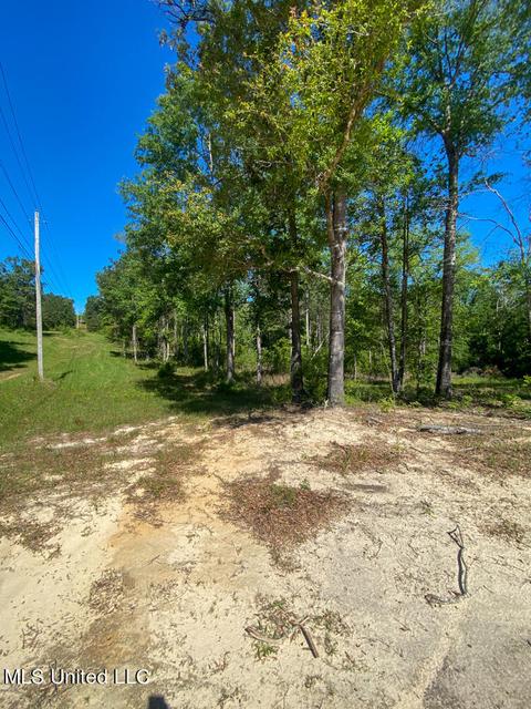 Hwy 26, Lucedale, MS 39452 photo 17