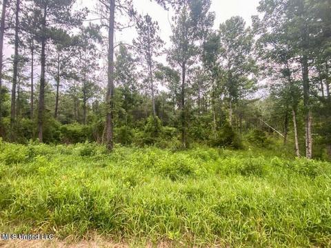Hwy 26, Lucedale, MS 39452 photo 24