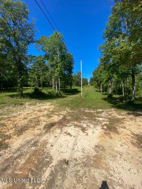 Hwy 26, Lucedale, MS 39452 photo 16