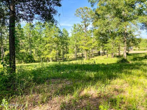Hwy 26, Lucedale, MS 39452 photo 27