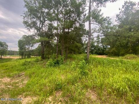 Hwy 26, Lucedale, MS 39452 photo 26