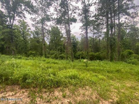 Hwy 26, Lucedale, MS 39452 photo 25