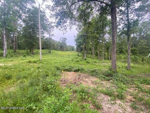 Hwy 26, Lucedale, MS 39452 photo 22