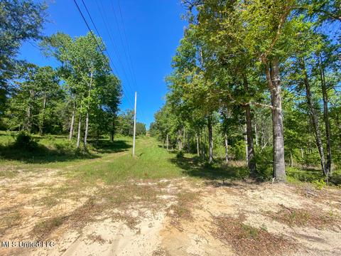 Hwy 26, Lucedale, MS 39452 photo 11
