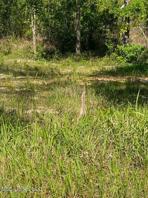 Hwy 26, Lucedale, MS 39452 photo 14