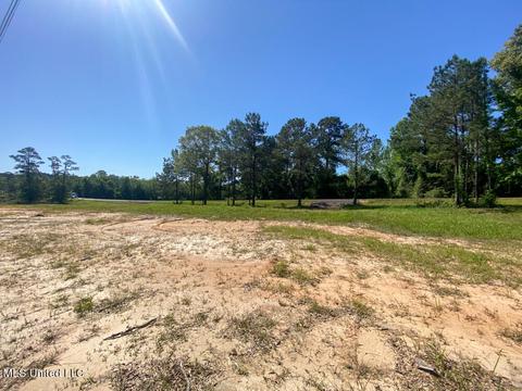 Hwy 26, Lucedale, MS 39452 photo 7