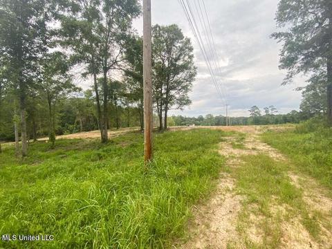 Hwy 26, Lucedale, MS 39452 photo 23