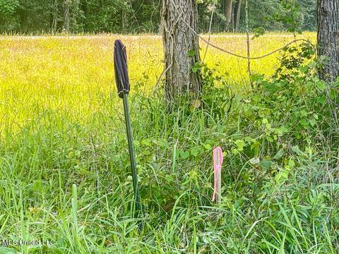 Hwy 26, Lucedale, MS 39452 photo 29