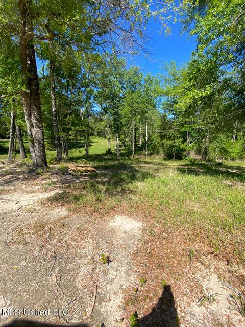 Hwy 26, Lucedale, MS 39452 photo 15