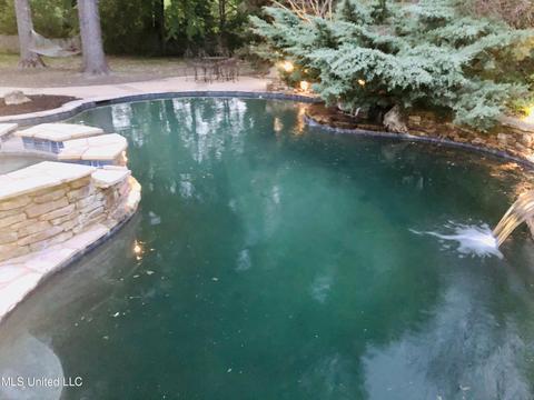 1526 Single Tree Dr, Hernando, MS 38632 photo 35