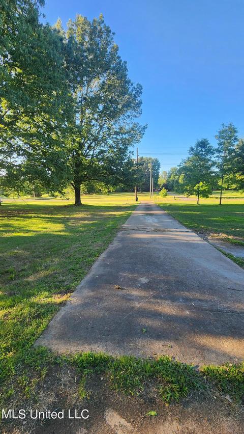 3825 Church Rd, Nesbit, MS 38651 photo 17