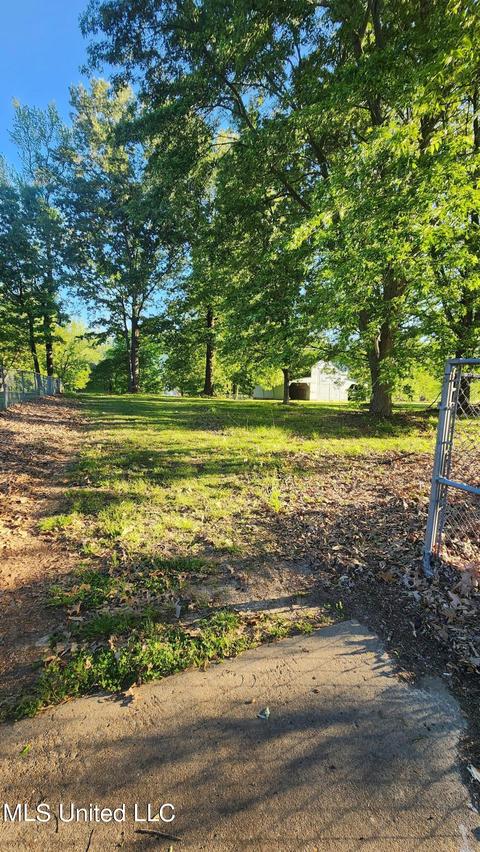 3825 Church Rd, Nesbit, MS 38651 photo 18