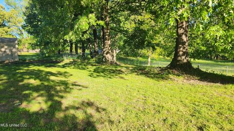 3825 Church Rd, Nesbit, MS 38651 photo 16