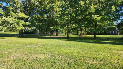 3825 Church Rd, Nesbit, MS 38651 photo 2