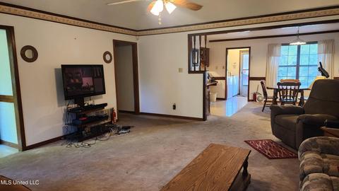 3825 Church Rd, Nesbit, MS 38651 photo 24