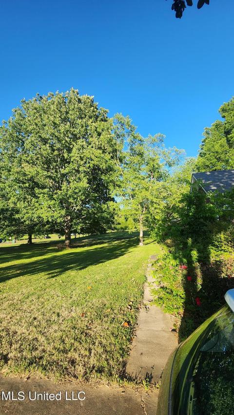 3825 Church Rd, Nesbit, MS 38651 photo 19