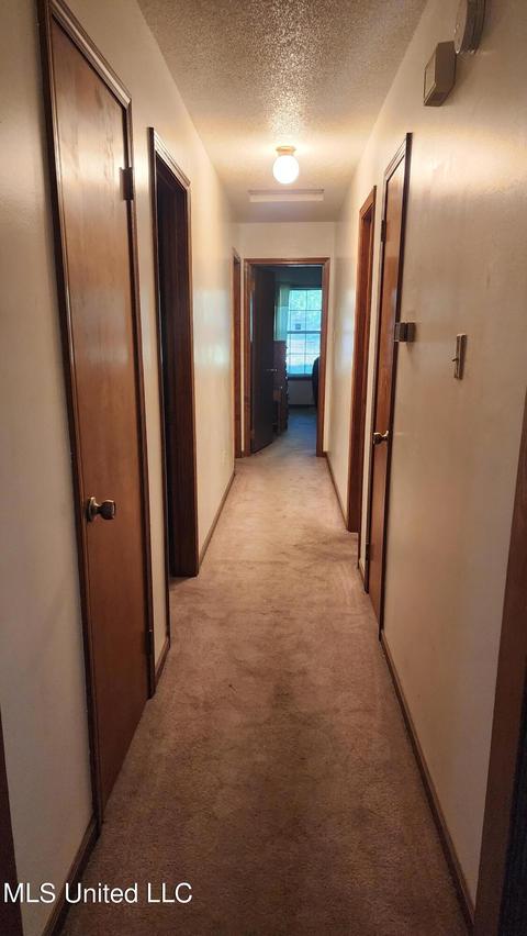 3825 Church Rd, Nesbit, MS 38651 photo 25