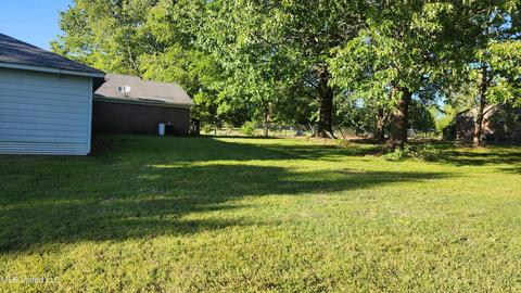 3825 Church Rd, Nesbit, MS 38651 photo 10