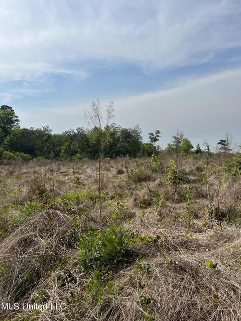 Scout Trail, Lucedale, MS 39452
