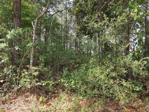 No Magnolia Lane, Poplarville, MS 39470