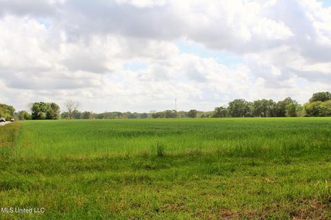 13 5ac Ellis Hodge Rd, Lucedale, MS 39452 photo 8