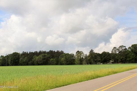 13 5ac Ellis Hodge Rd, Lucedale, MS 39452 photo 5
