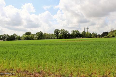 13 5ac Ellis Hodge Rd, Lucedale, MS 39452 photo 3