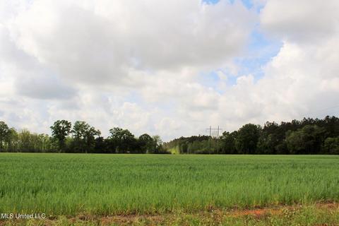 13 5ac Ellis Hodge Rd, Lucedale, MS 39452 photo 7