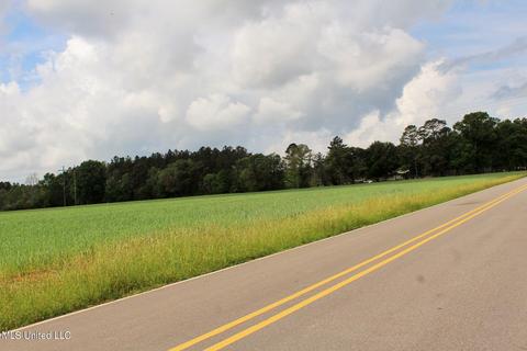 13 5ac Ellis Hodge Rd, Lucedale, MS 39452 photo 6