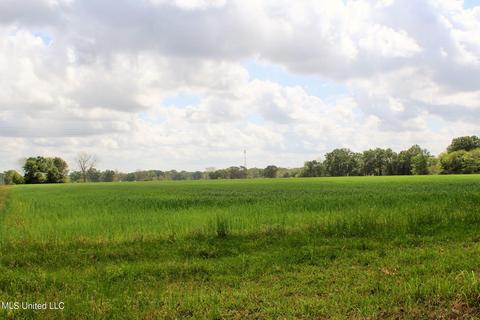 13 5ac Ellis Hodge Rd, Lucedale, MS 39452 photo 2