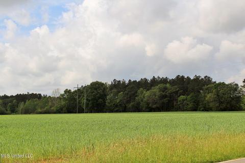13 5ac Ellis Hodge Rd, Lucedale, MS 39452 photo 4