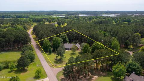 101 Shaffer Court Ct, Madison, MS 39110 photo 63