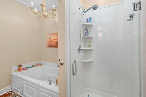 101 Shaffer Court Ct, Madison, MS 39110 photo 39