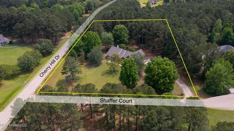 101 Shaffer Court Ct, Madison, MS 39110 photo 61