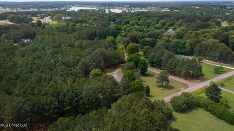 101 Shaffer Court Ct, Madison, MS 39110 photo 66