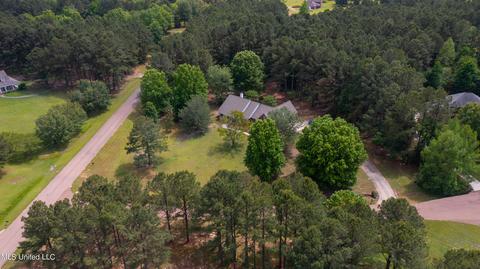 101 Shaffer Court Ct, Madison, MS 39110 photo 60