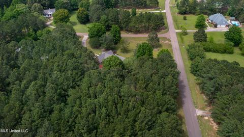 101 Shaffer Court Ct, Madison, MS 39110 photo 68